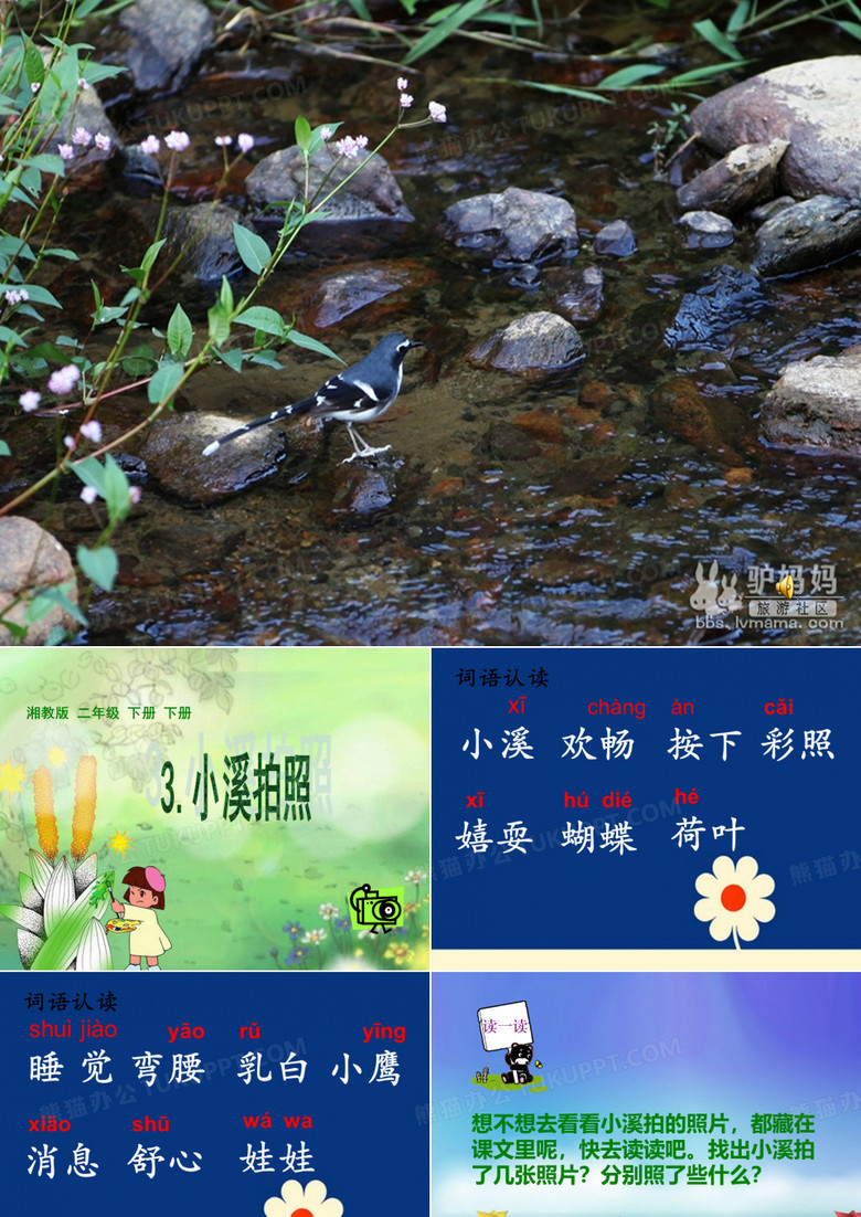小溪拍照