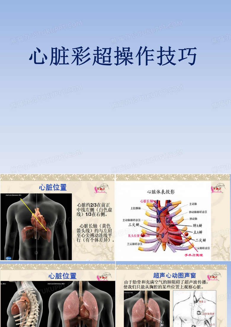心脏彩超技巧