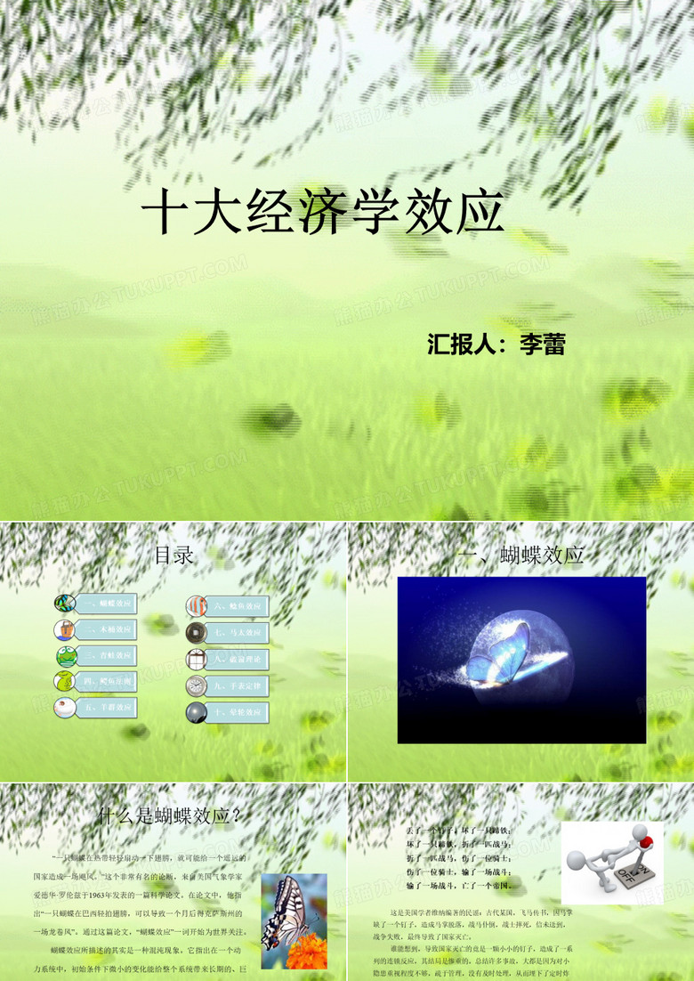 晕轮效应-经济与管理学院