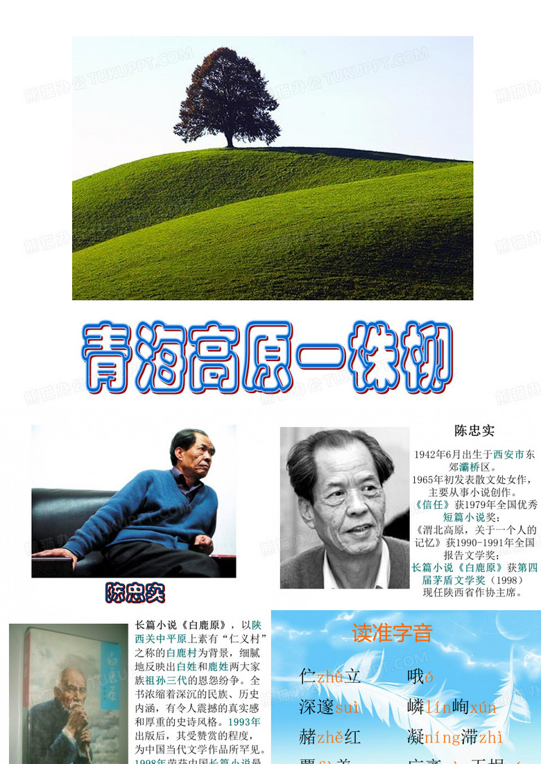 15.青海高原一株柳