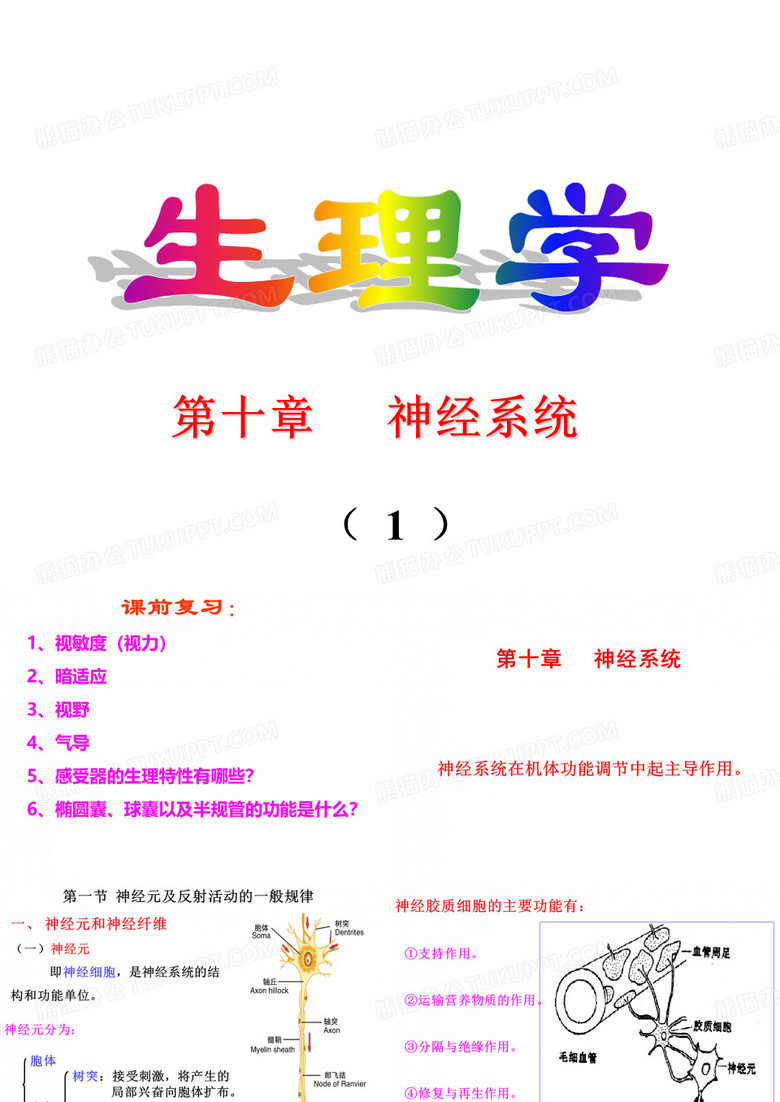 生理学--神经系统