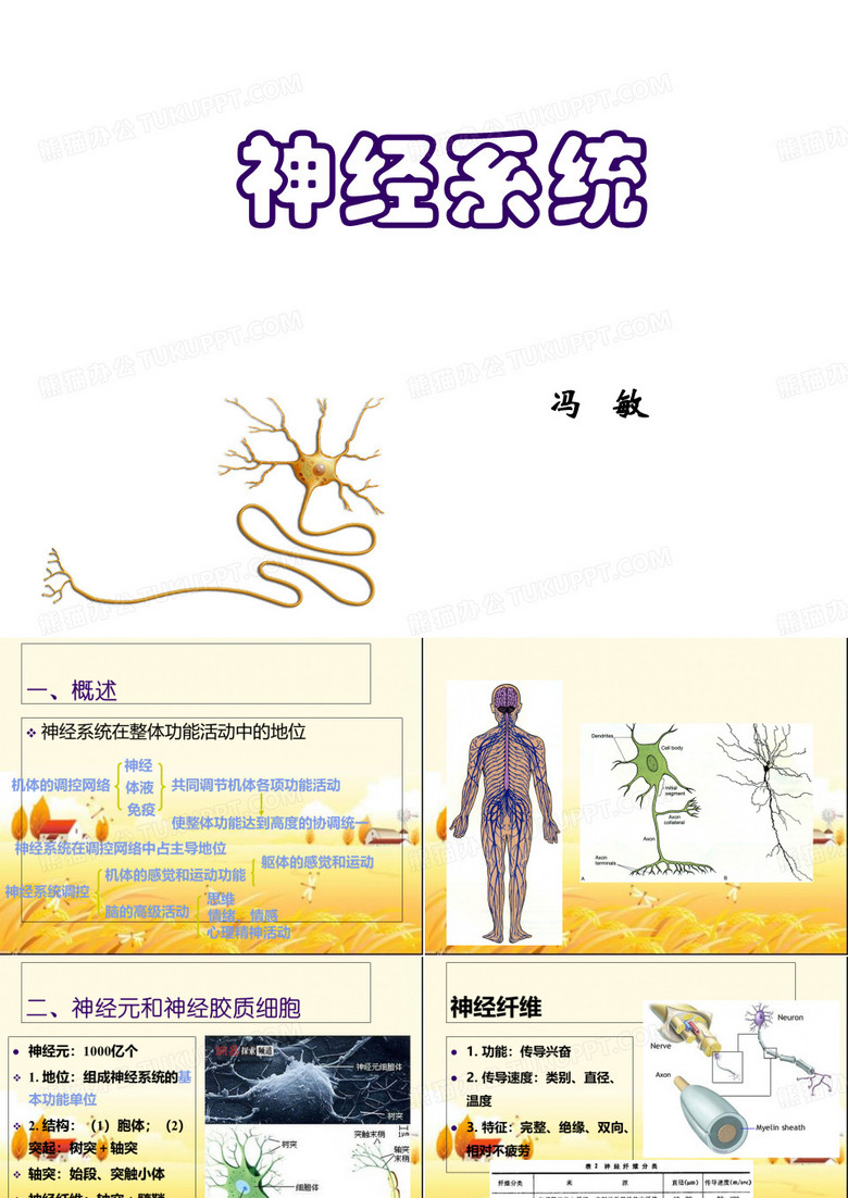 《生理学》神经系统