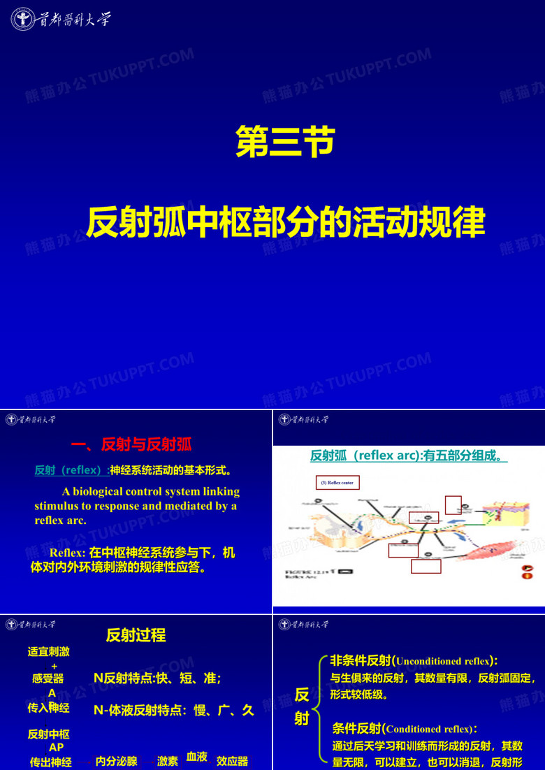 生理学——神经系统3