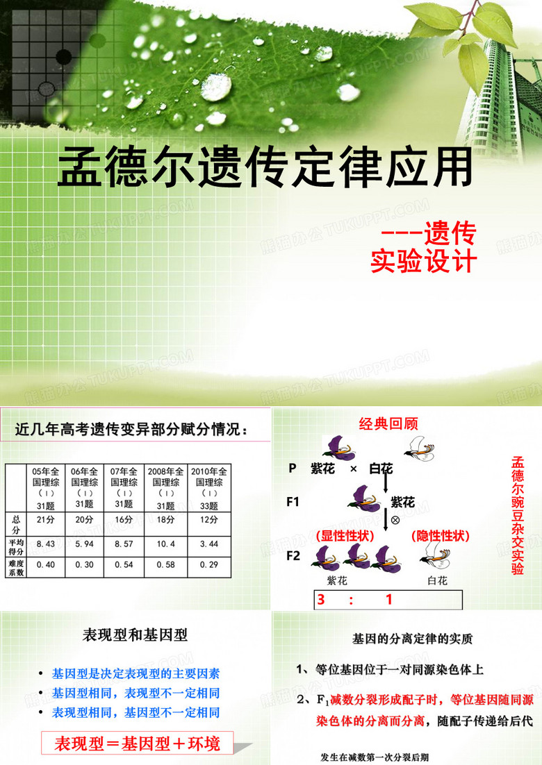 孟德尔遗传定律应用