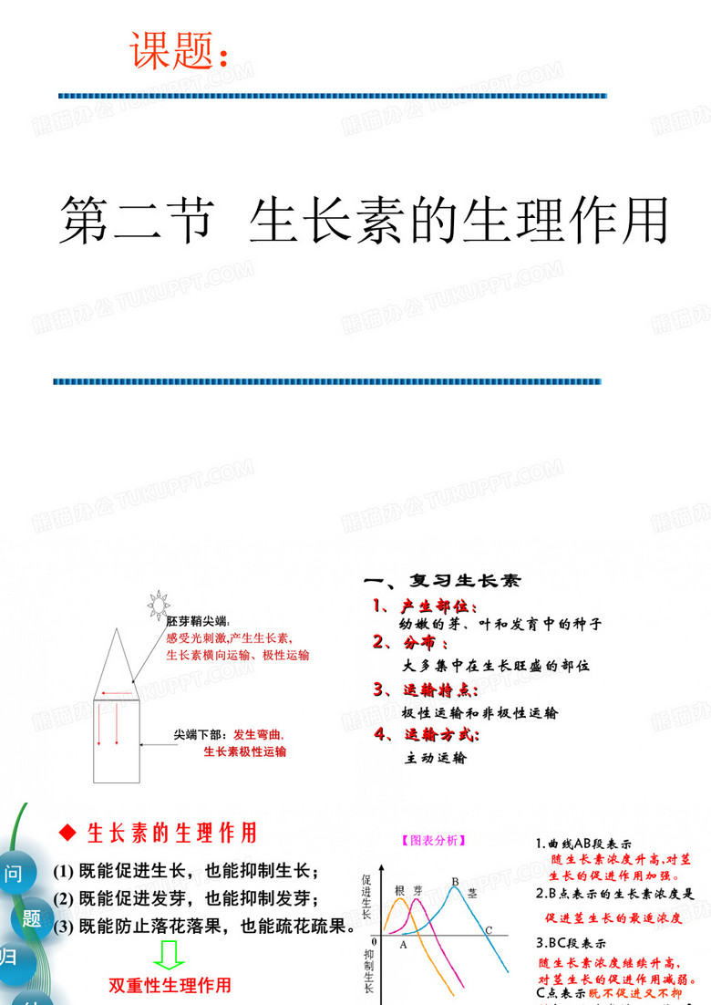 生长素的生理作用