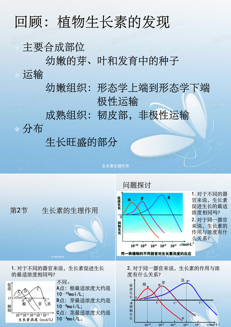 生长素生理作用