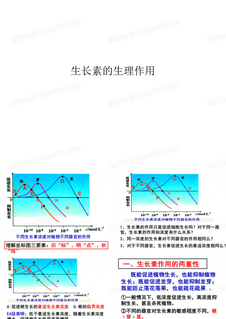 生长素的生理作用