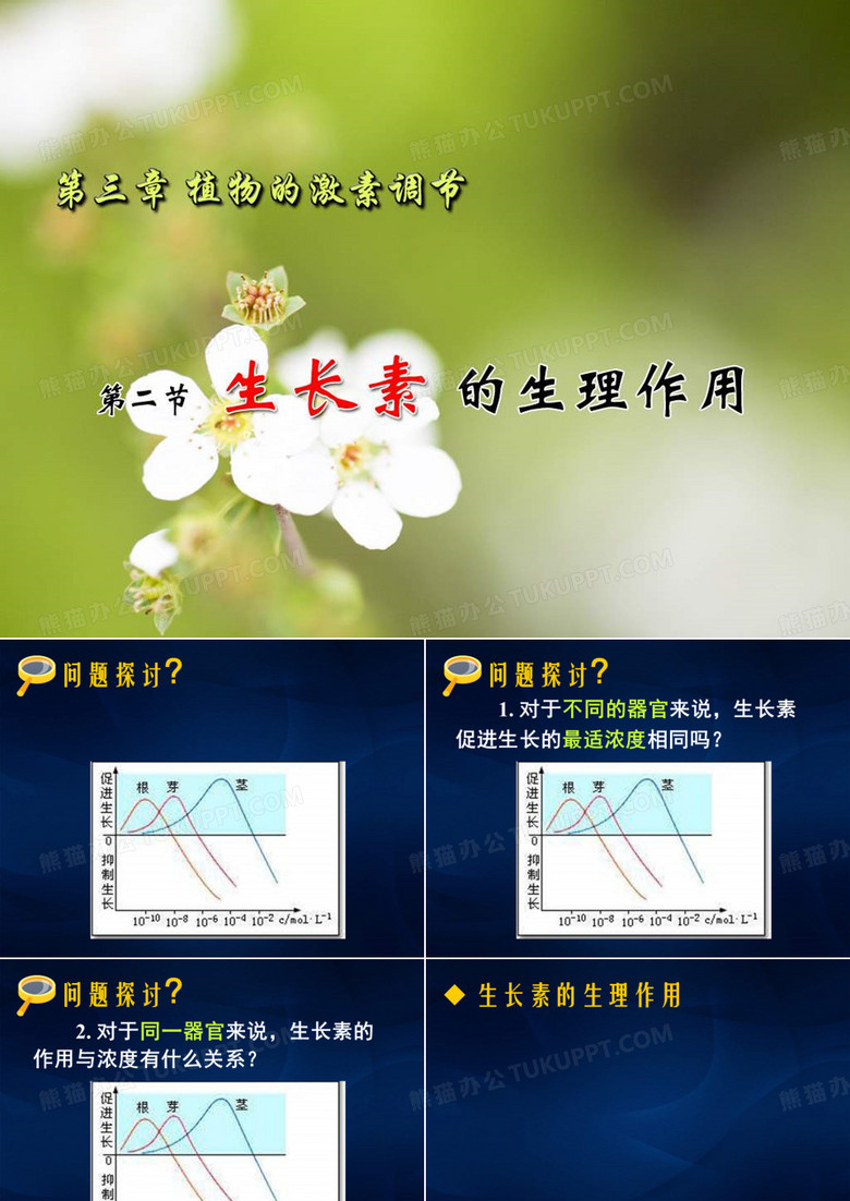 生长素的生理作用