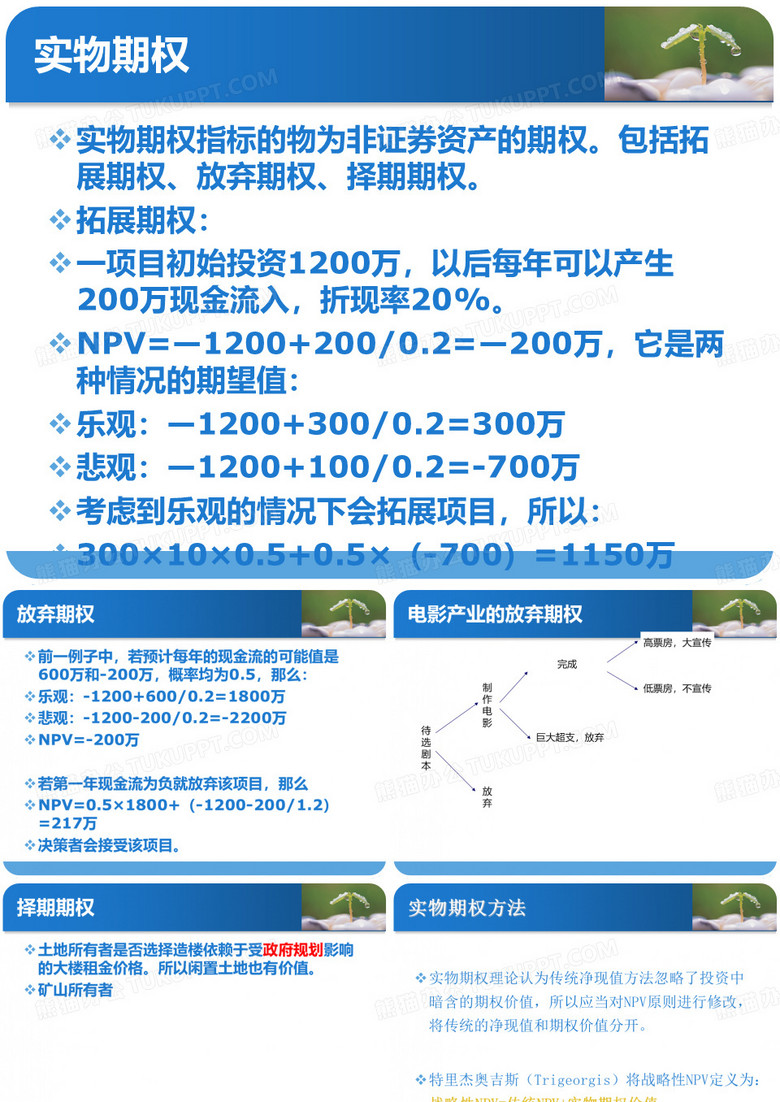 实物期权