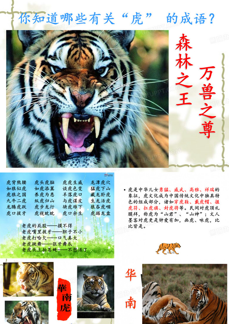 《华南虎》