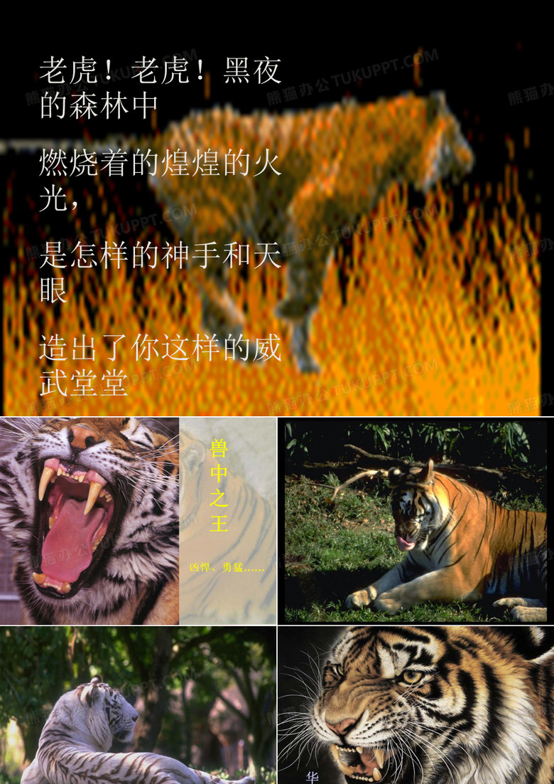 牛汉《华南虎》