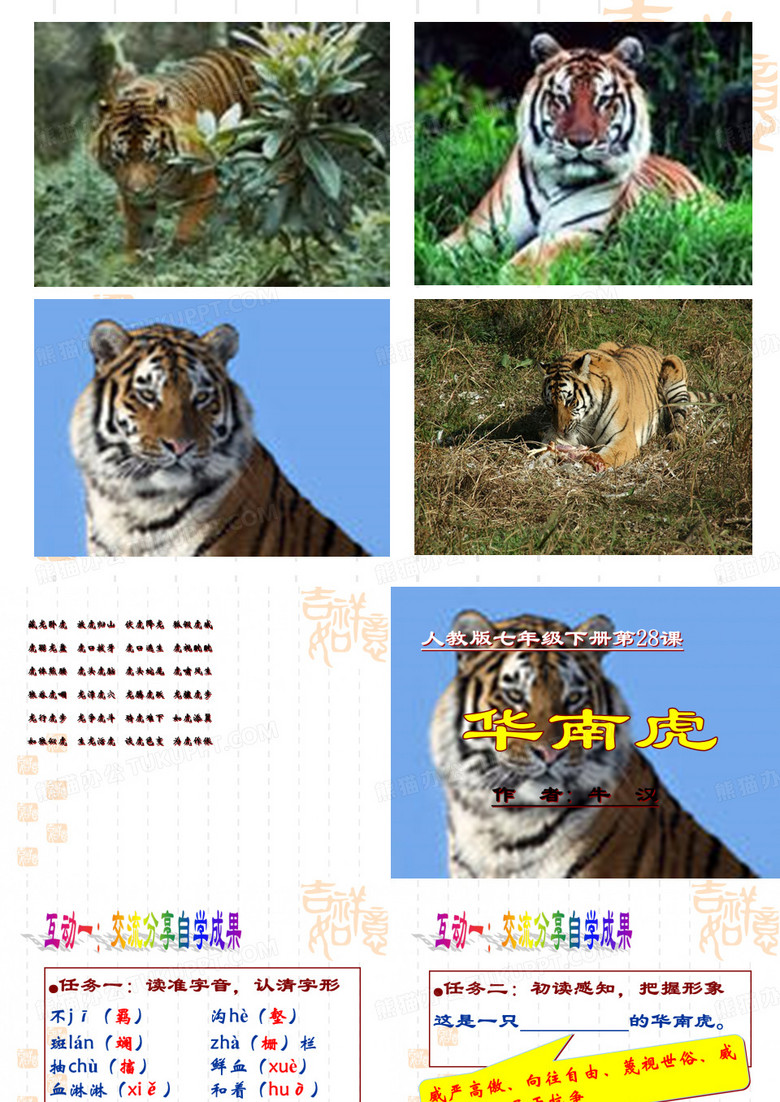 华南虎ppt