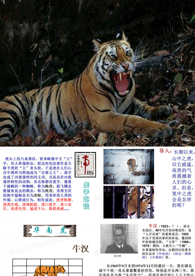 华南虎ppt