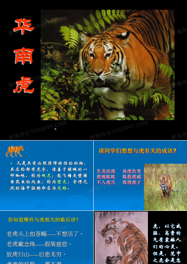 《华南虎》-课件