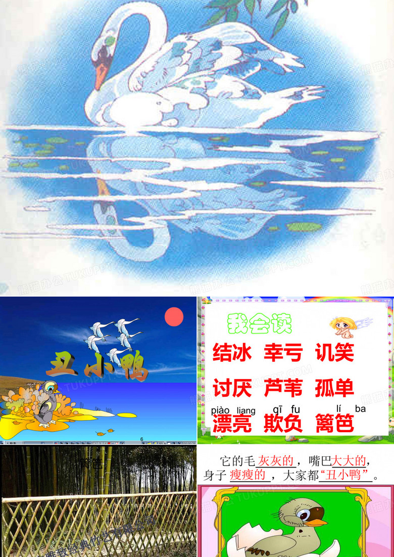 《丑小鸭》课件