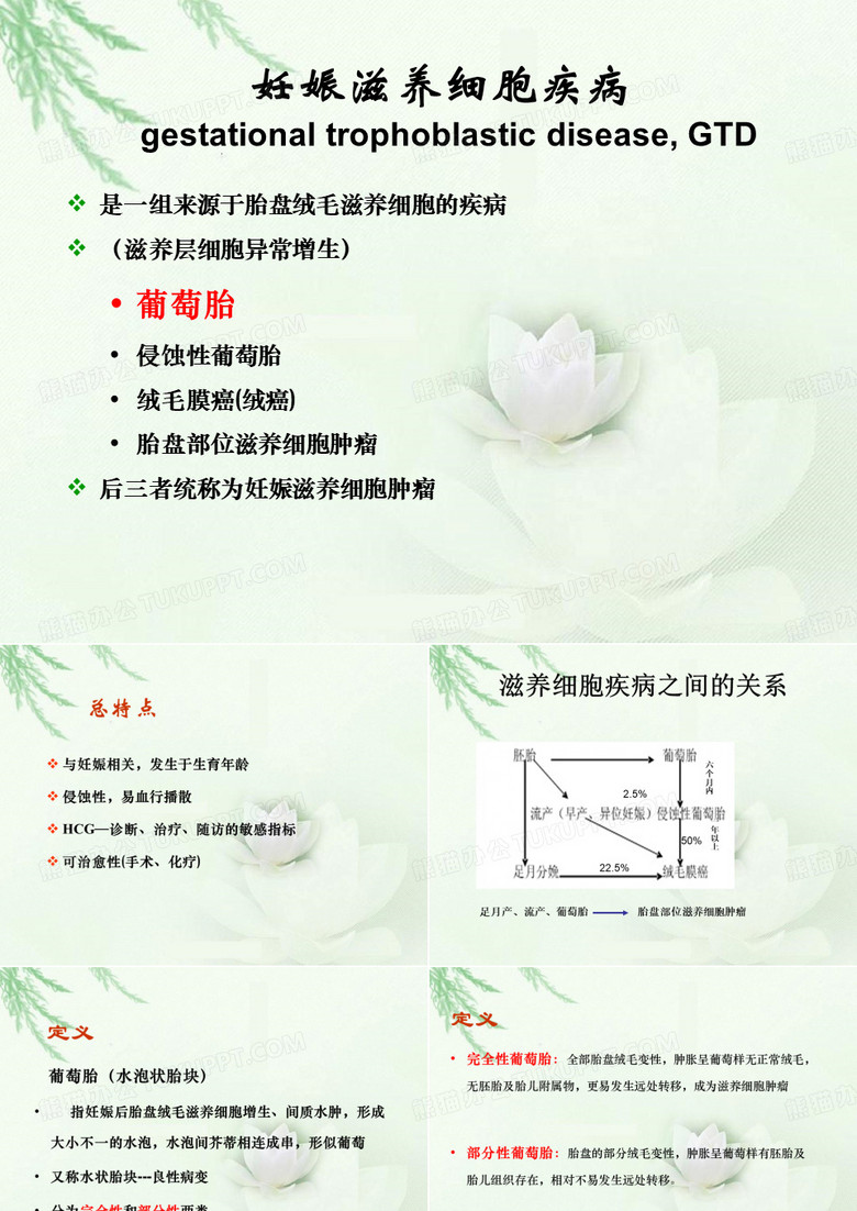 葡萄胎
