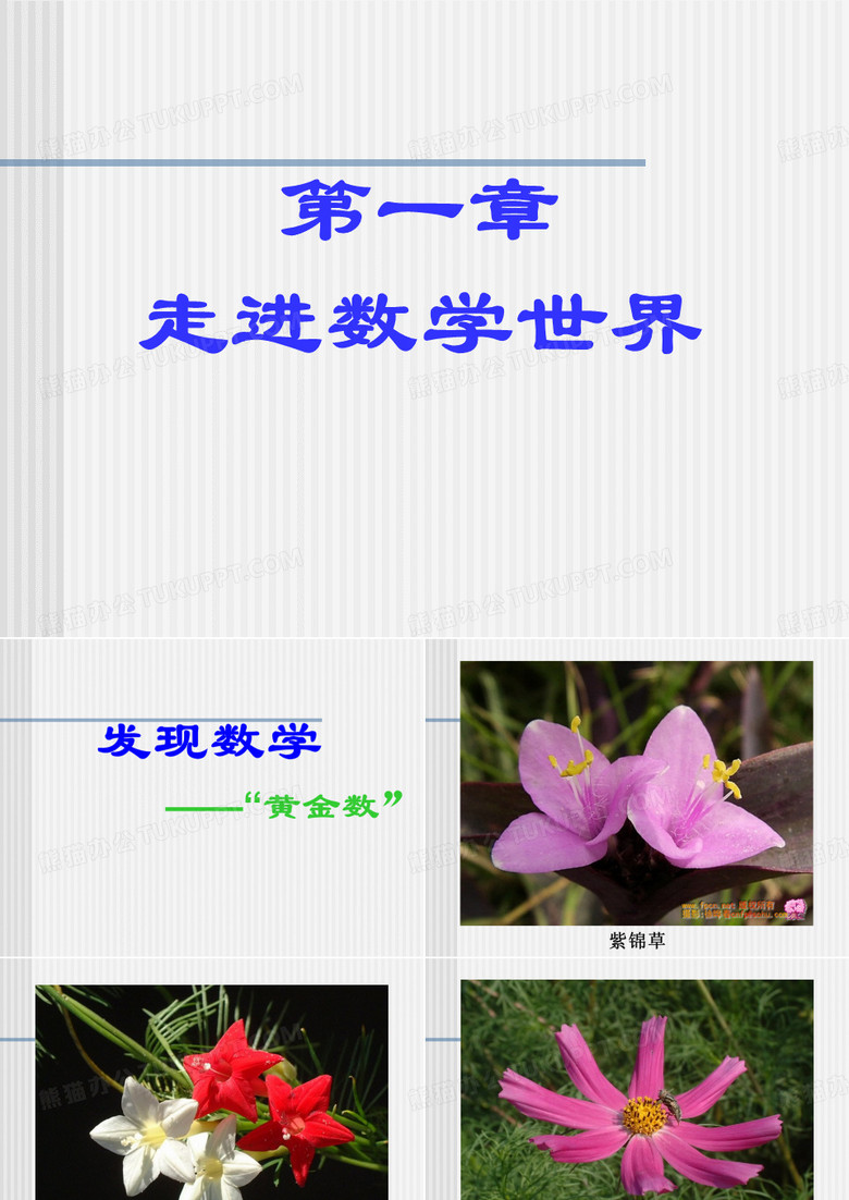 黄金数