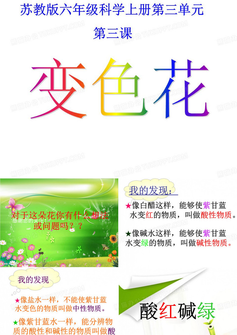 苏教版科学六年级上册《变色花》
