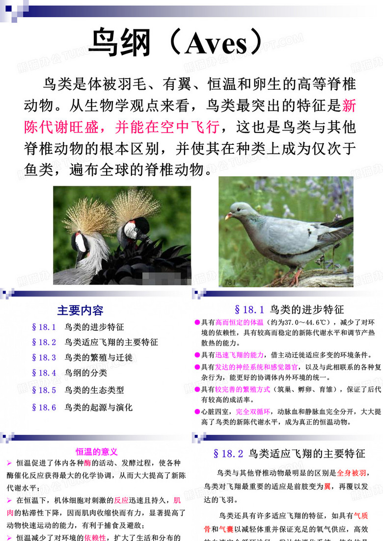 动物学- 鸟纲  PPT