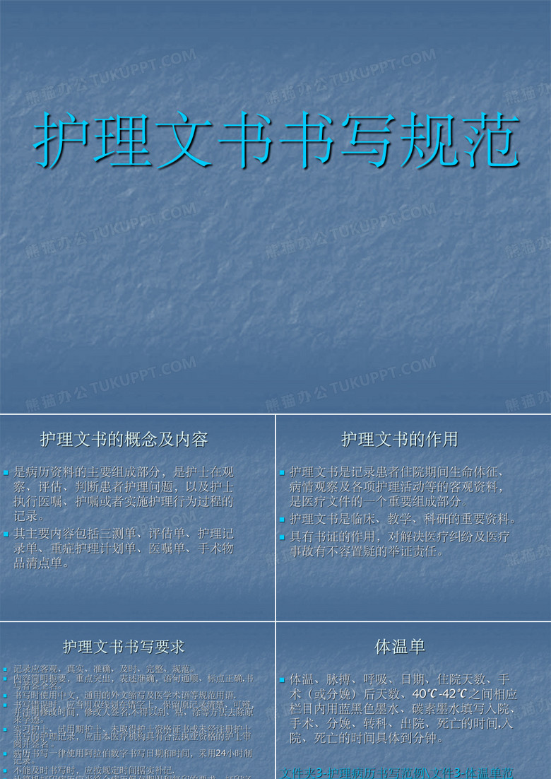 护理文书书写规范