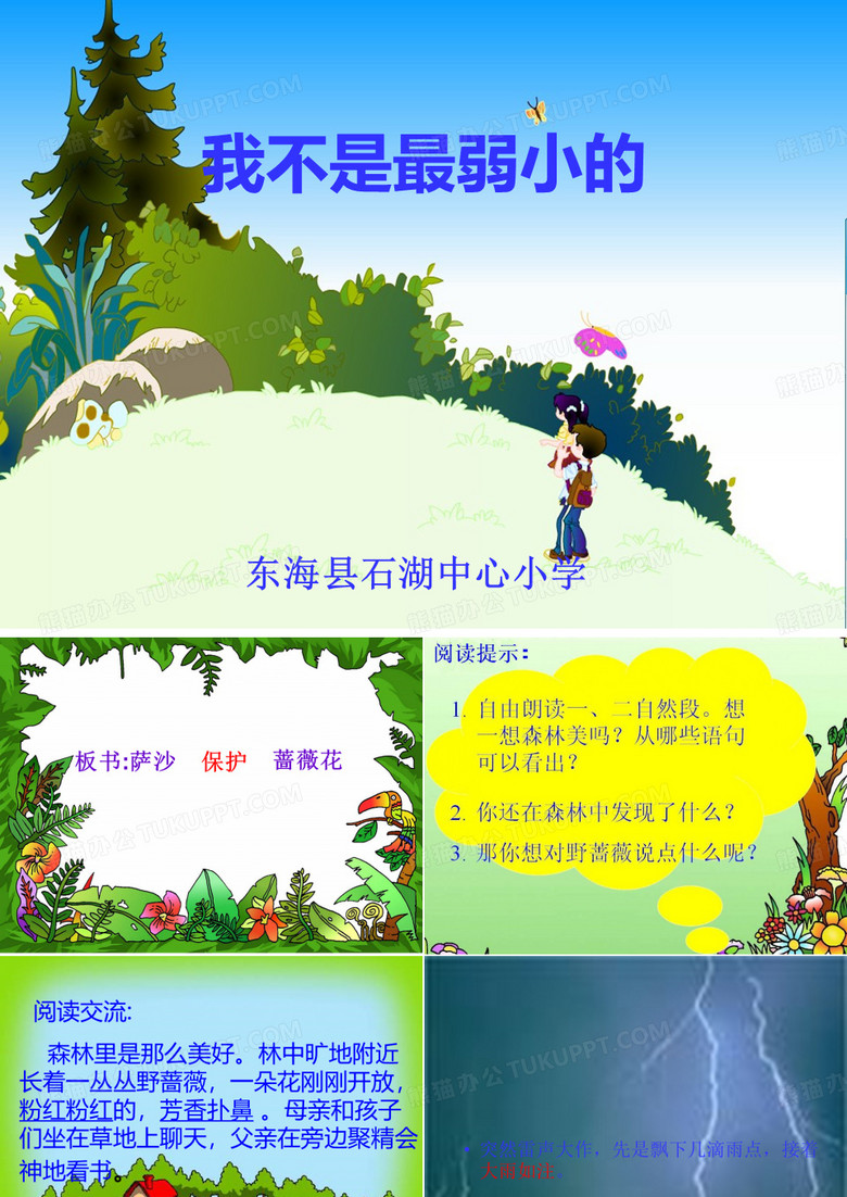 我不是最弱小的PPT