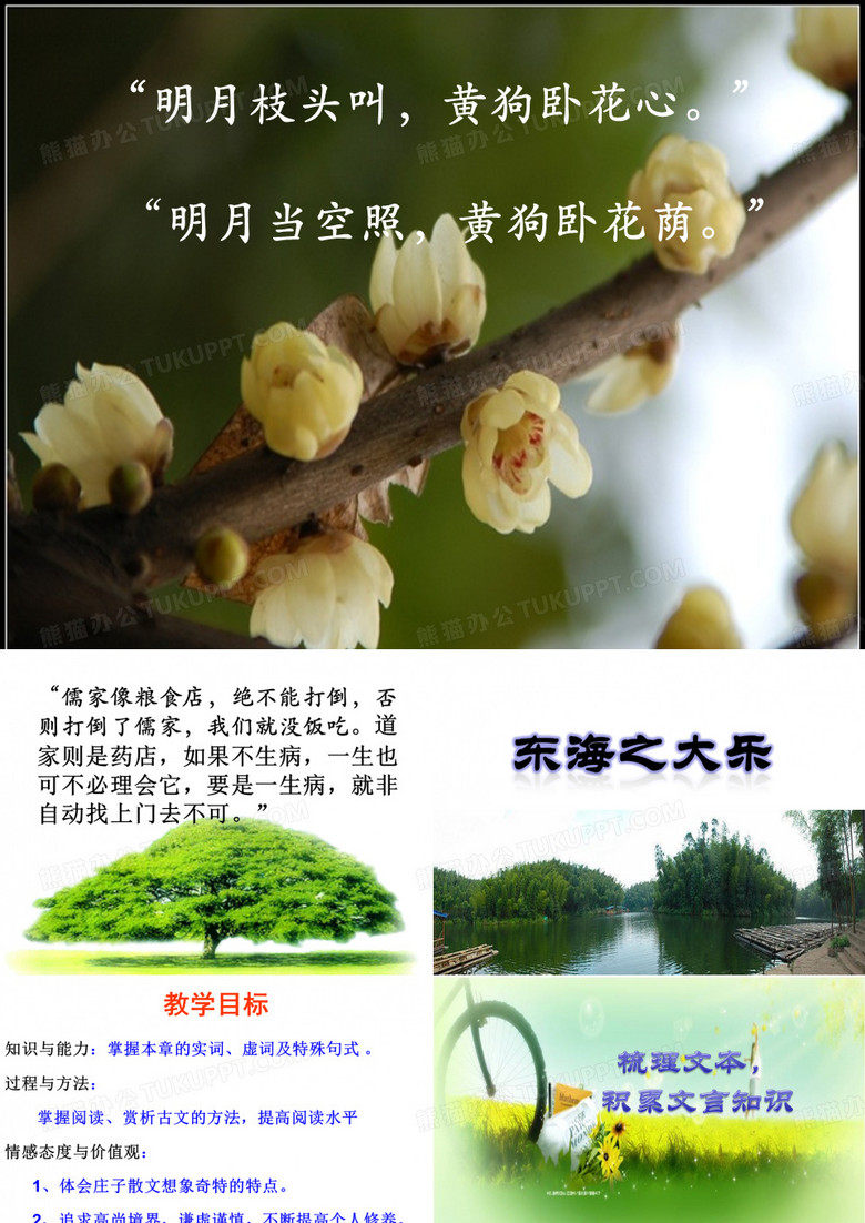 《东海之大乐》PPT资料