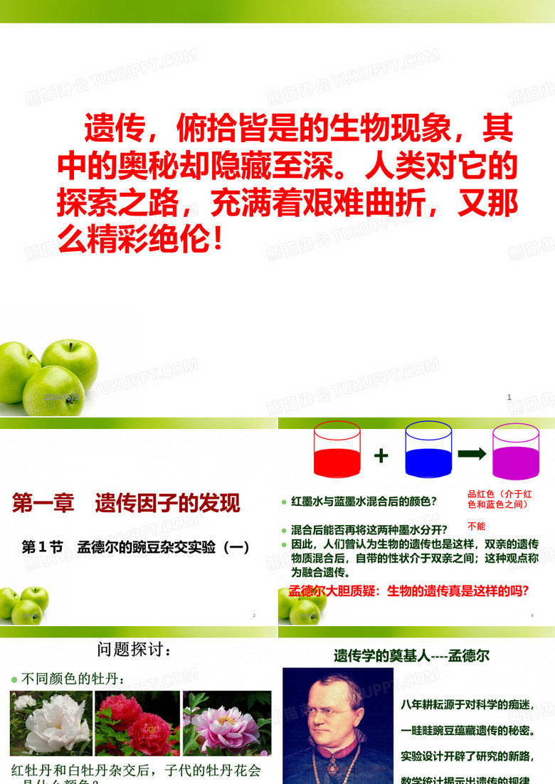 孟德尔豌豆杂交实验
