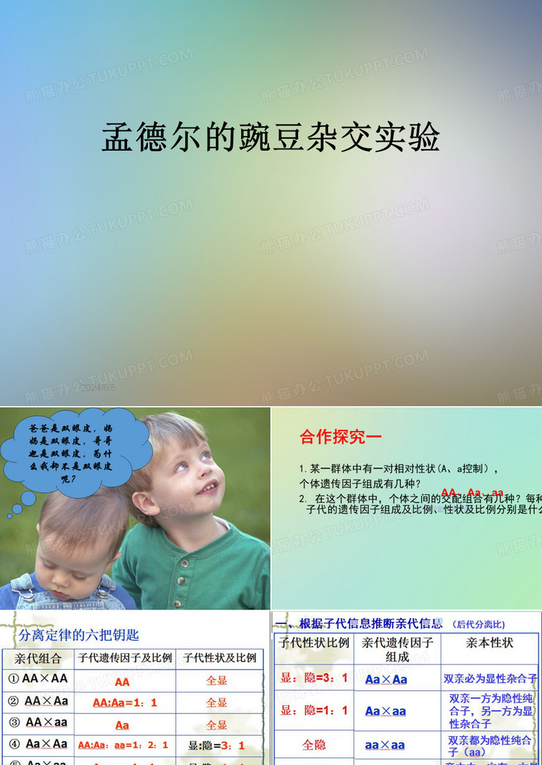 孟德尔的豌豆杂交实验