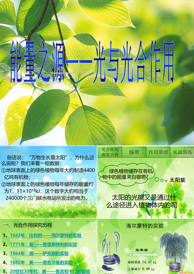 高中生物光合作用课件.pptx