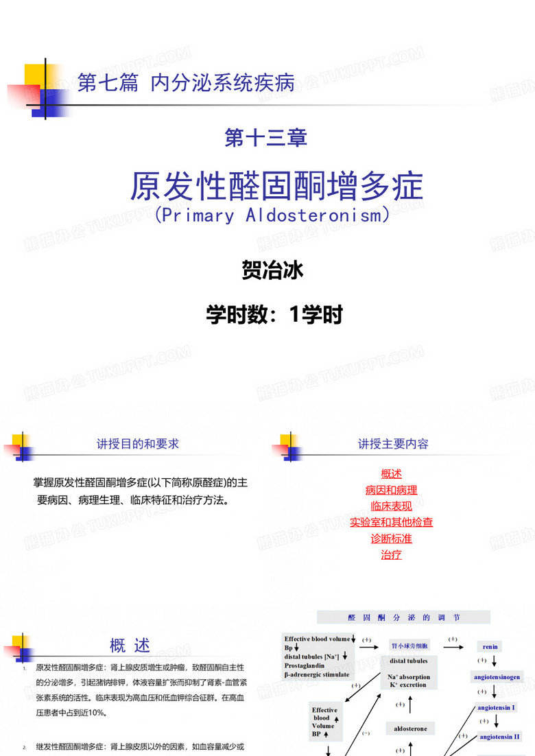 _原发性醛固酮增多症