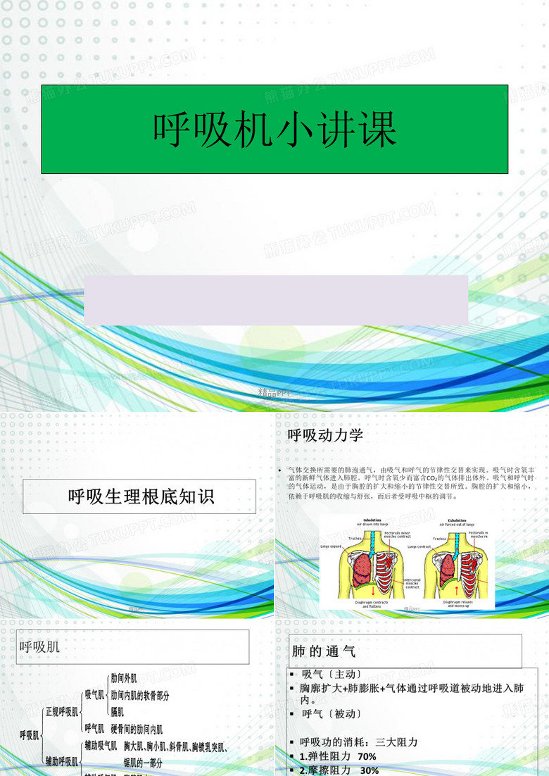 呼吸机小讲课