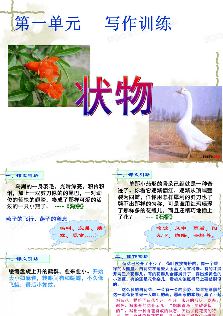 状物课件