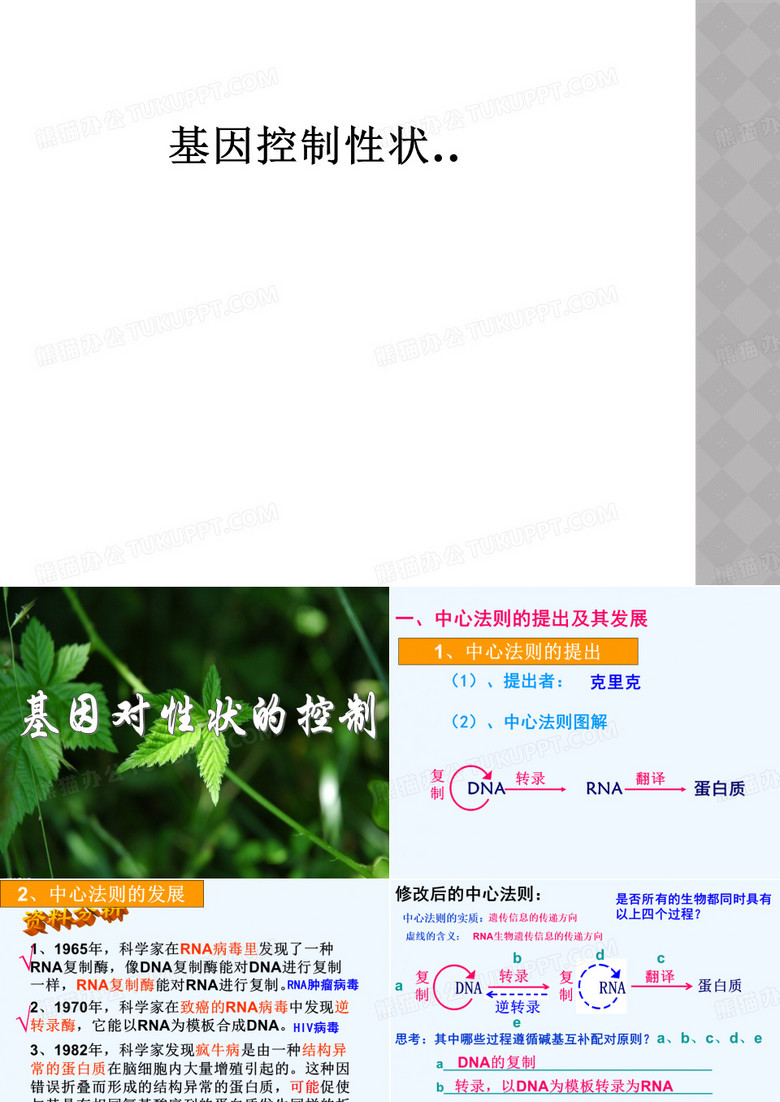 基因控制性状..