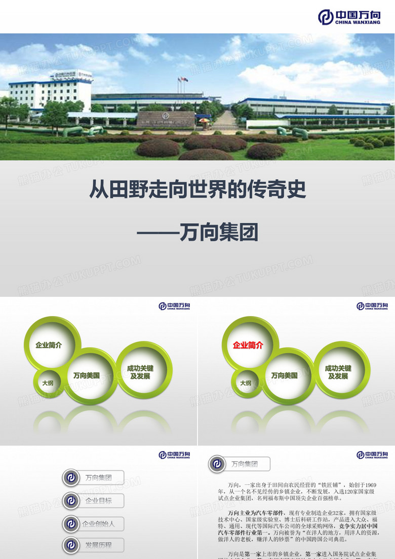 浙江万向集团案例  市场营销案例 国际市场营销案例分解