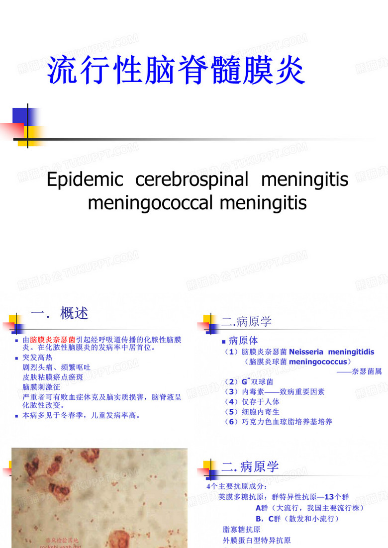 流行性脑脊髓膜炎