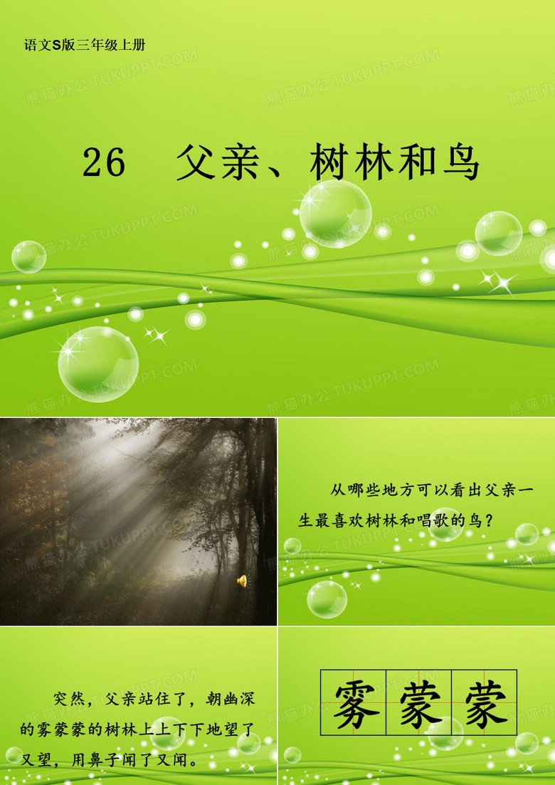 父亲树林和鸟