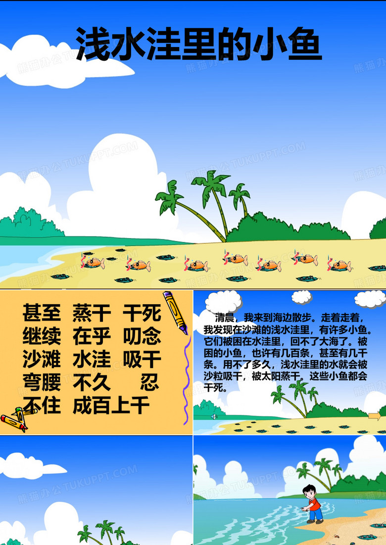 浅水洼里的小鱼