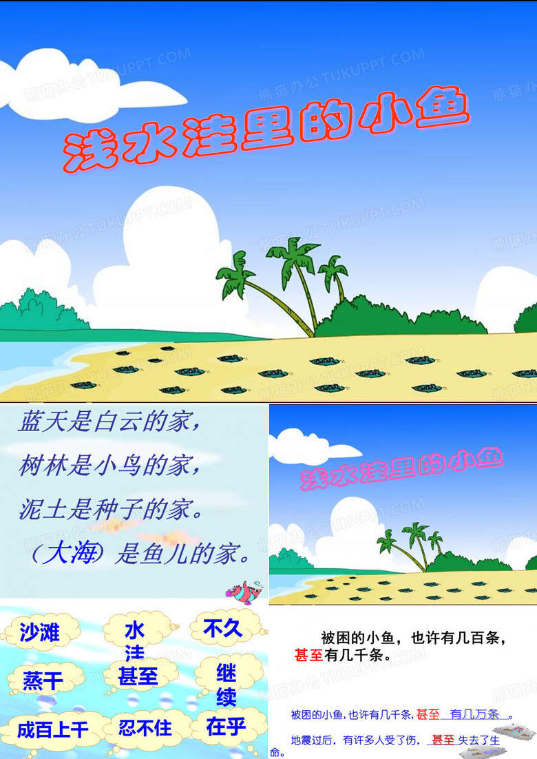 浅水洼里的小鱼