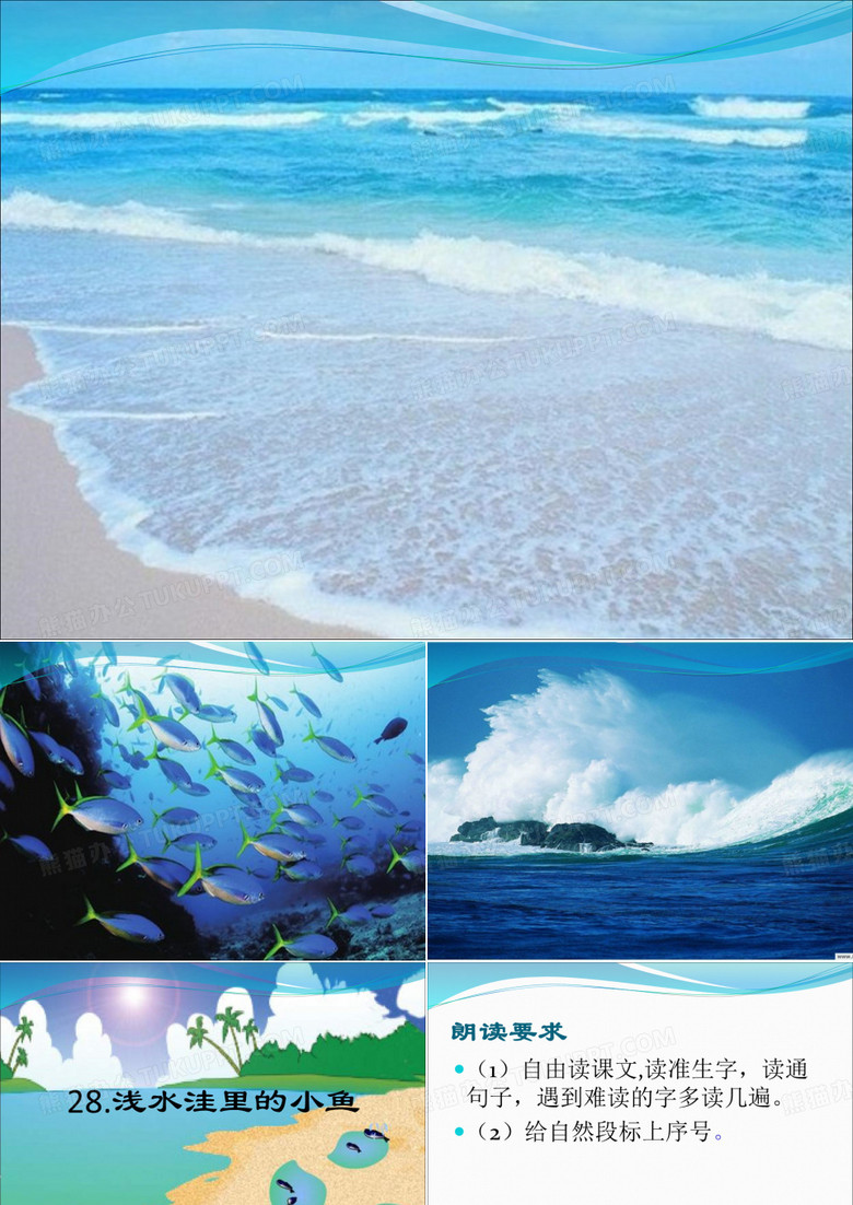 浅水洼里的小鱼