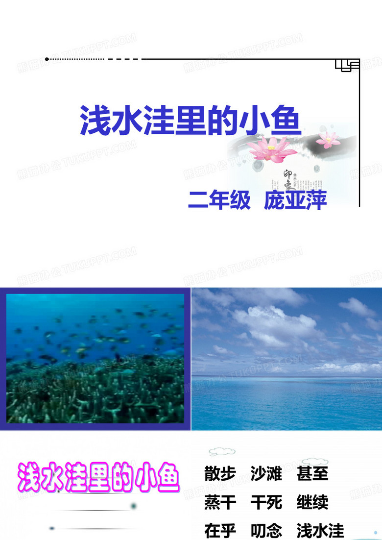 浅水洼里的小鱼