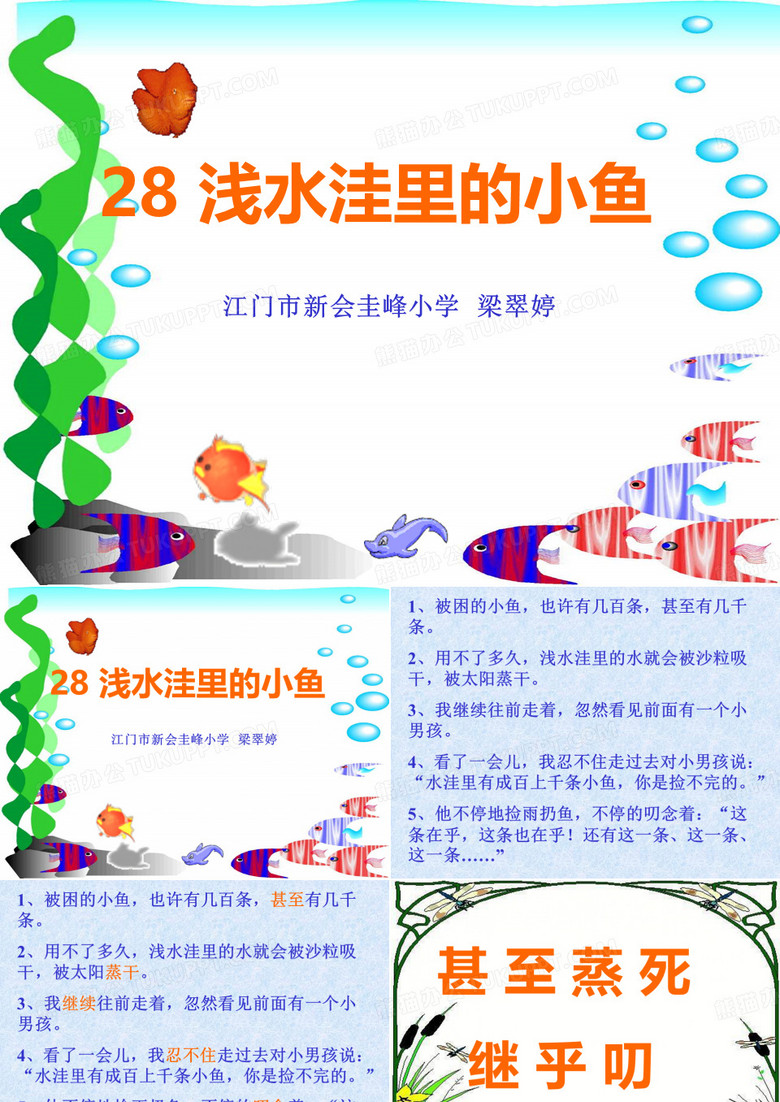 浅水洼里的小鱼