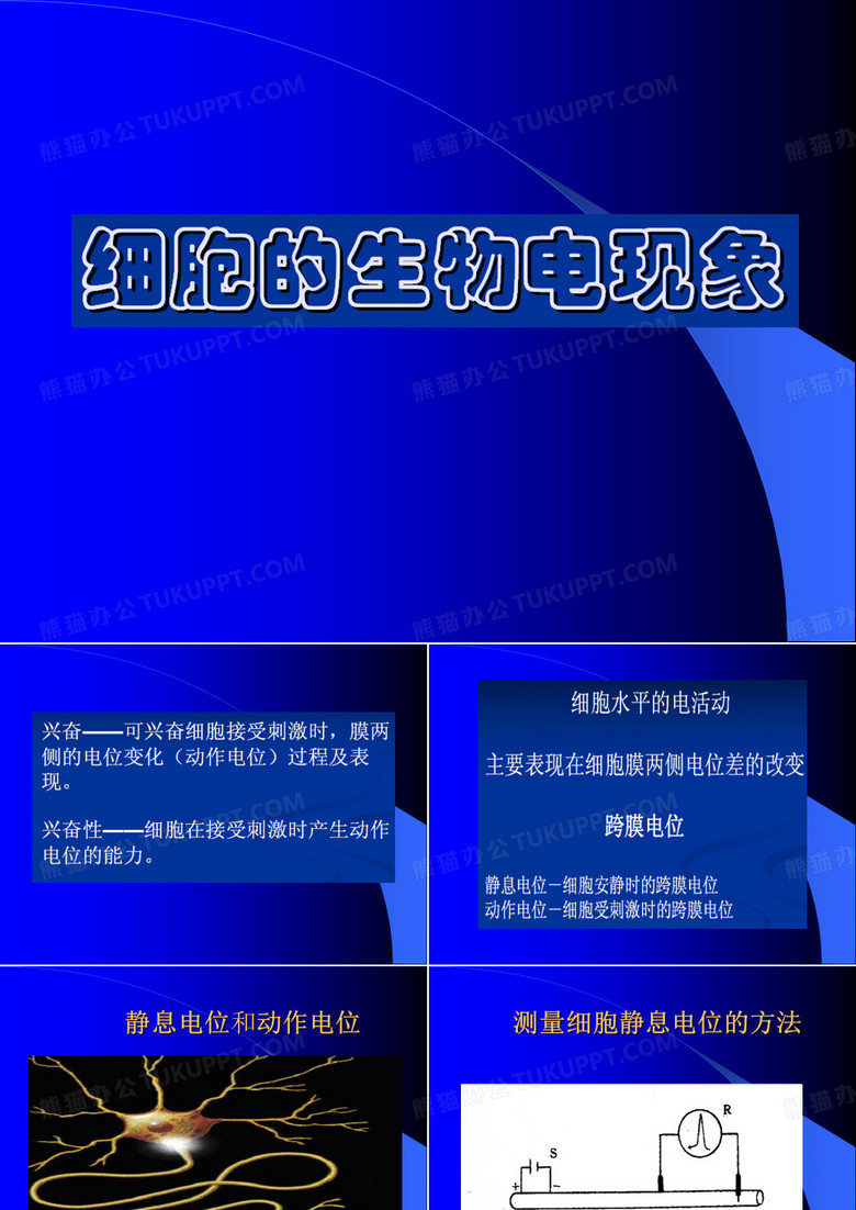 静息电位与动作电位