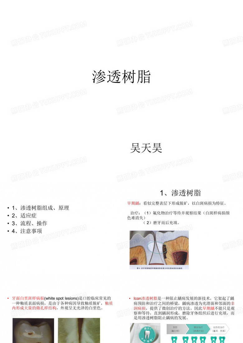 渗透树脂