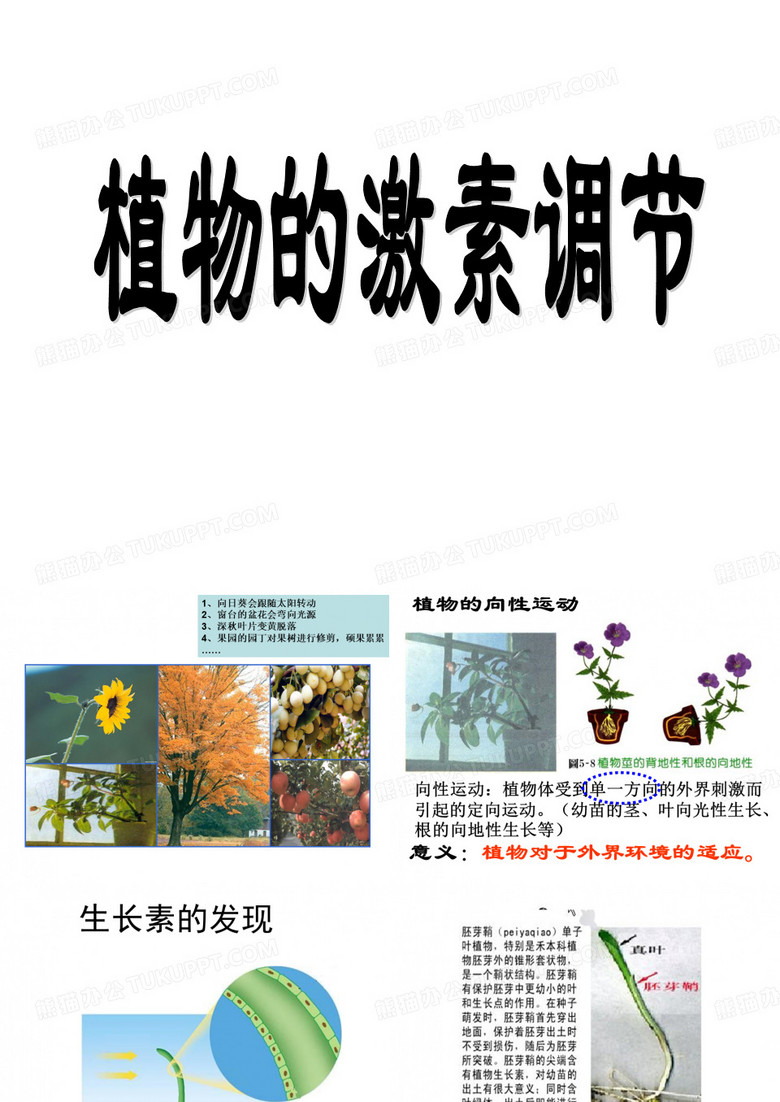 植物激素调节