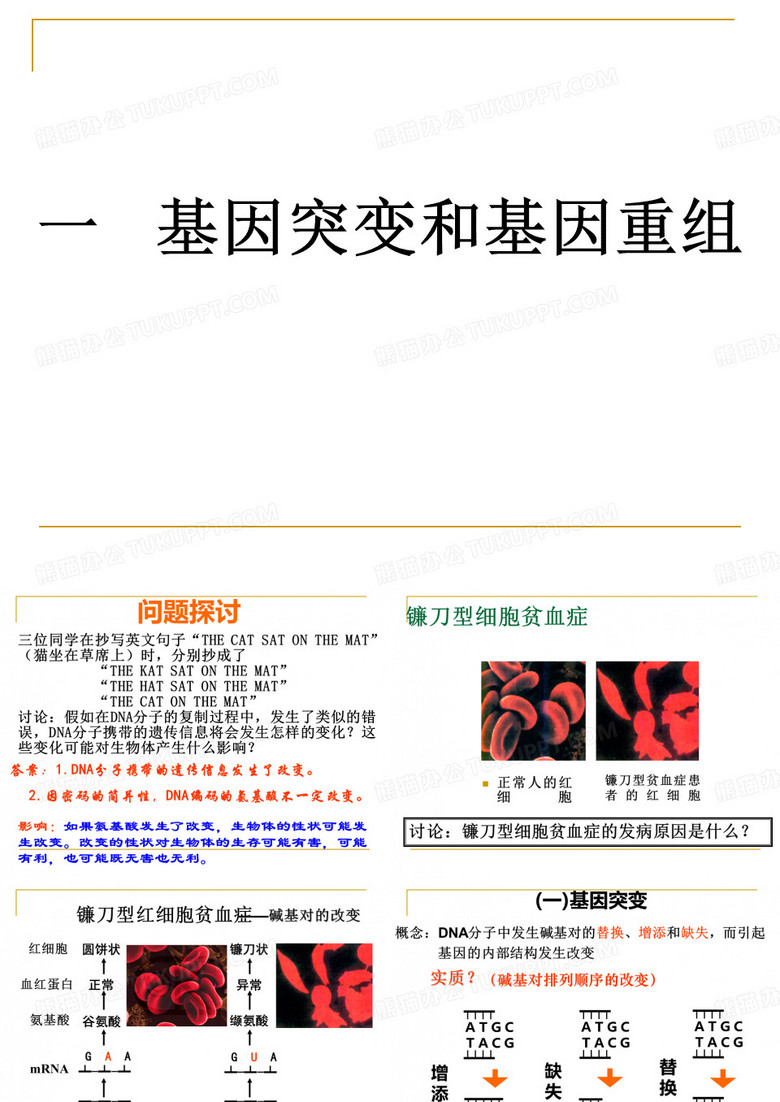 基因突变和基因重组