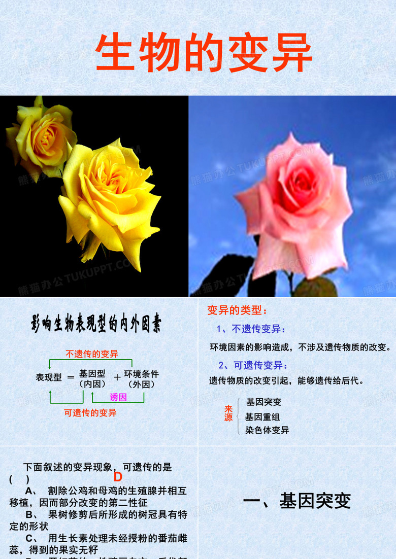 基因突变和基因重组