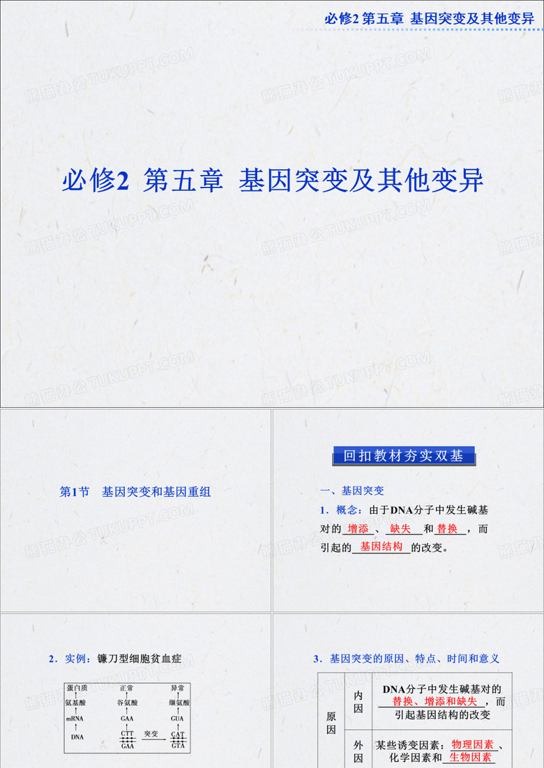 基因突变和基因重组
