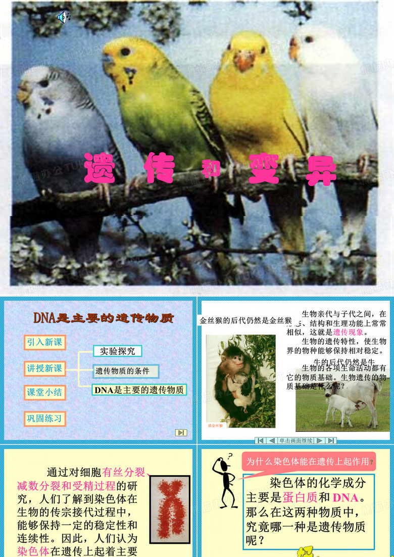 DNA是主要的遗传物质
