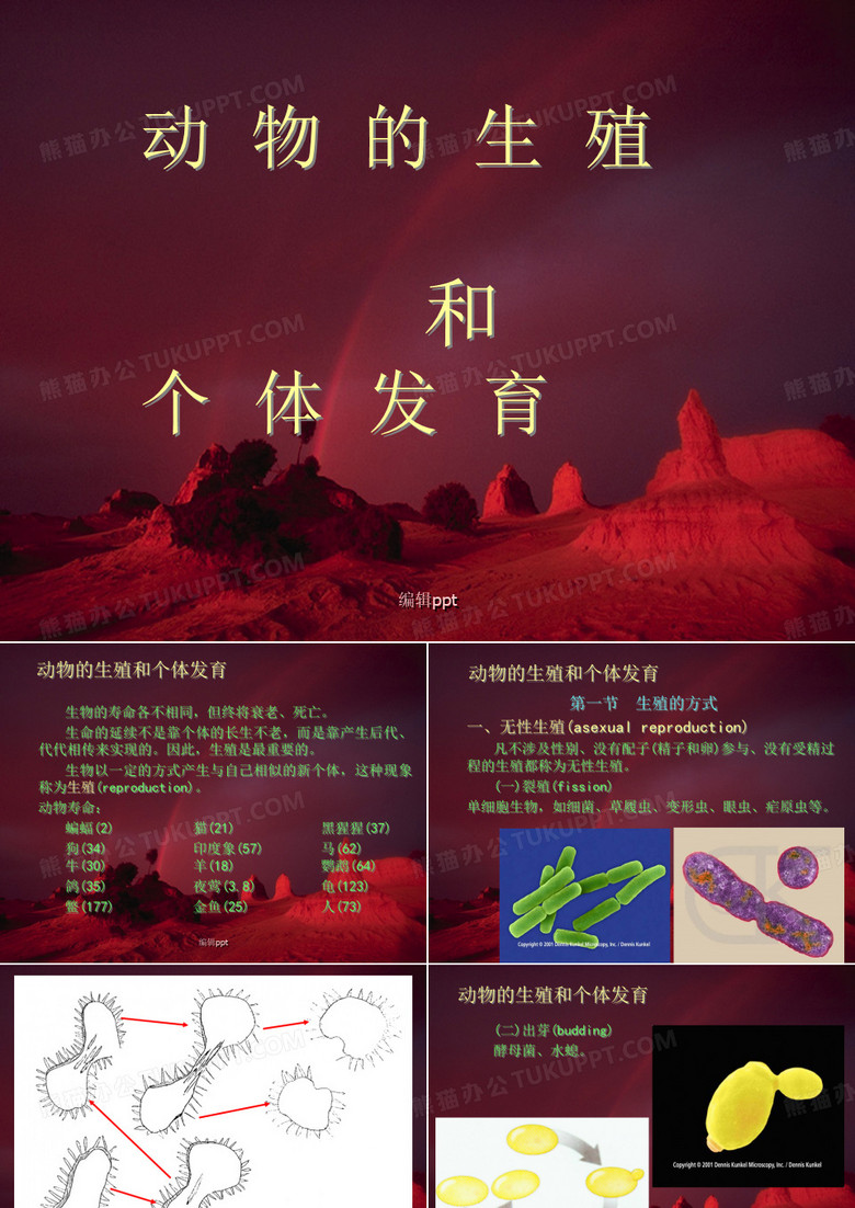 《动物学基础》