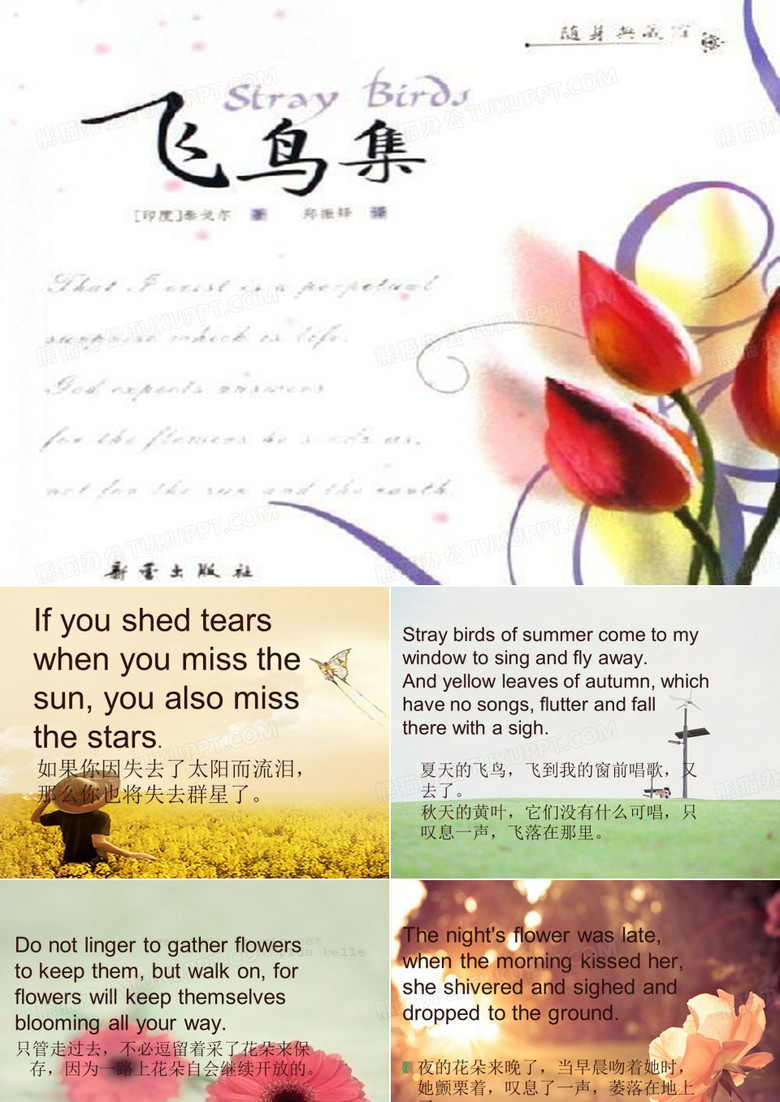 泰戈尔的名句